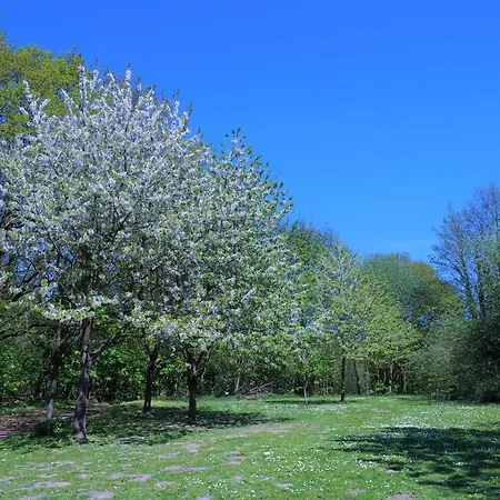 Panoramic App B02-10 *