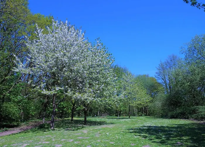 Panoramic App B02-10 *